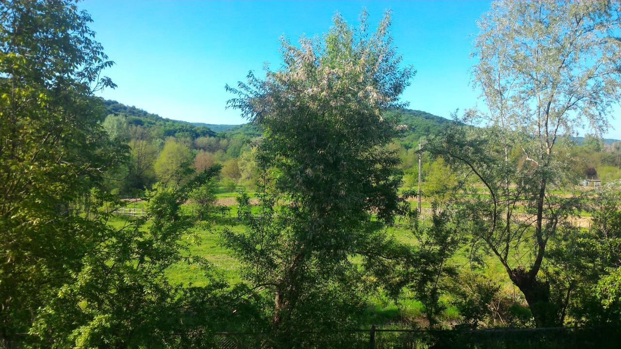 Pensiunea Casa Ghica Valea Sălciilor Buitenkant foto